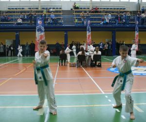Mistrzostwa Wielkopolski Polskiej Federacji Taekwondo