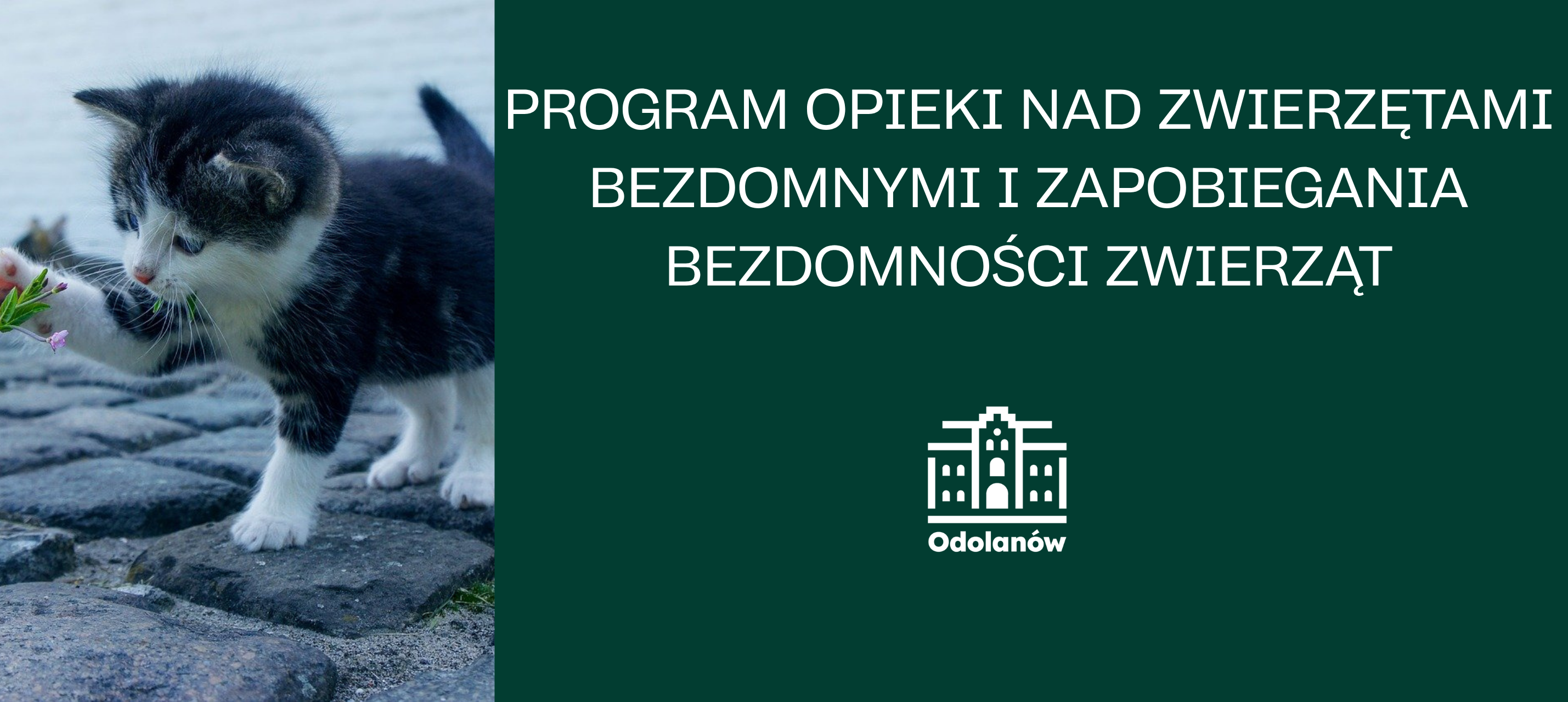 PROGRAM OPIEKI NAD ZWIERZĘTAMI BEZDOMNYMI