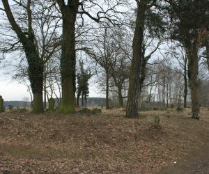 cmentarz ewangelicki w Bonikowie (6)