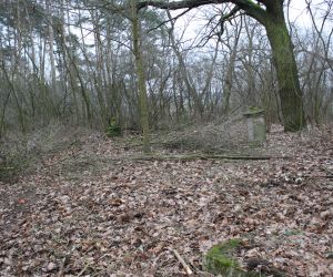 cmentarz ewangelicki w Garkach (13)