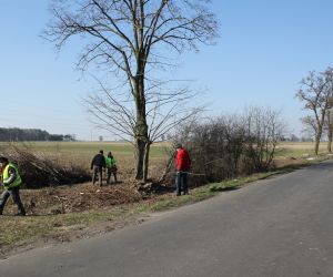 Wycinka krzewów na drodze do Wierzbna