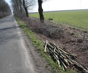 Wycinka krzewów na drodze do Wierzbna