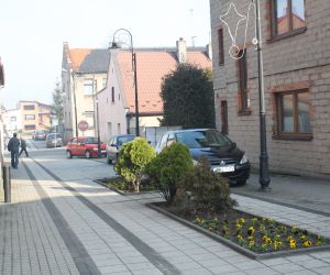 Kwiaty w centrum Odolanowa