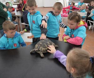 Półkolonie letnie 2018