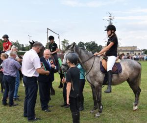 Piknik Drobiowy i Turniej Zrywania Kaczora w Odolanowie