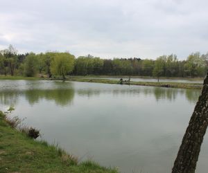 Zawody Wędkarskie o Puchar Burmistrza