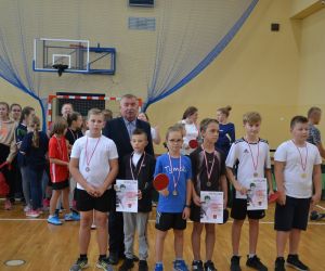 Drużynowy tenis stołowy