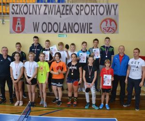 Drużynowy tenis stołowy