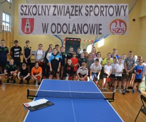 Drużynowy tenis stołowy