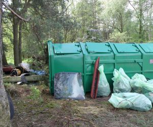 Akcja drzewko za pomoc w sprzątaniu 2016