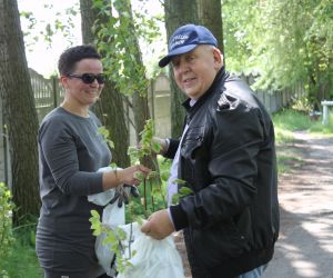 Akcja drzewko za pomoc w sprzątaniu 2016