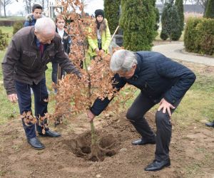 złożenie kwiatów i sadzenie dębu