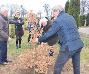 złożenie kwiatów i sadzenie dębu