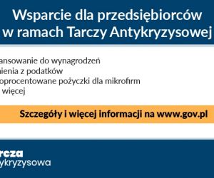 skompresowane_infografiki_v22_wwsparcie_z_zoltym