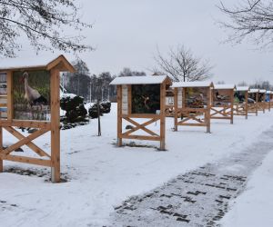 Park Natury zimą