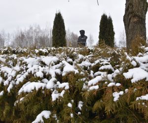 Park Natury zimą