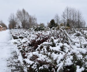 Park Natury zimą