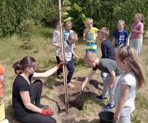 Światowy Dzień Pszczół obchodzony jest co roku 20 maja. Jego celem jest podkreślenie znaczenia pszczół dla pozyskiwania...