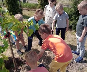 Światowy Dzień Pszczół obchodzony jest co roku 20 maja. Jego celem jest podkreślenie znaczenia pszczół dla pozyskiwania...