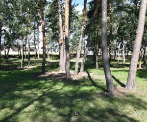 Korzystając z lipcowej aury i pięknej słonecznej pogody, wybraliśmy się do Uciechowa, bo sporo się tam ostatnimi czasy dzieje