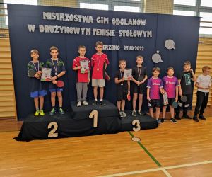 Drużynowe Mistrzostwa Gminy Odolanów w tenisie stołowym w kategorii dziewcząt i chłopców klas 4-6 i 7-8.