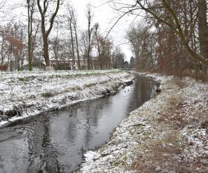 PGW WP. Nadzór Wodny w Miliczu w roku 2022 podjął wiele działań na rzecz poprawy stanu rzek na terenie Gminy Odolanów
