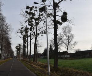 Nowe oświetlenie w Gminie Odolanów