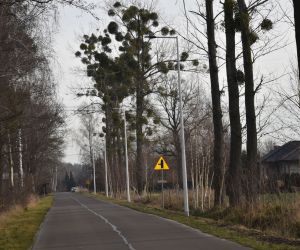 Nowe oświetlenie w Gminie Odolanów
