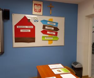 Branżowe możliwości