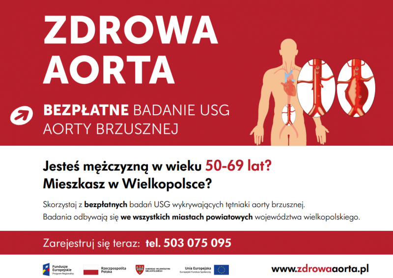 zdrowa aorta
