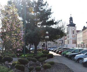 Wiosna w Odolanowie