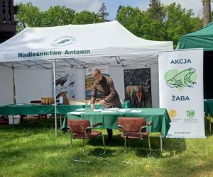 Już po raz kolejny na terenie Parku Krajobrazowego Dolina Baryczy odbyła się „Akcja Żaba 2023”