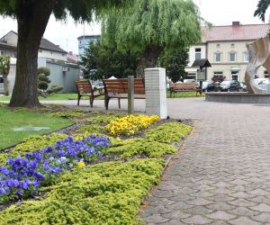 Rynek odolanowski w kwiatach