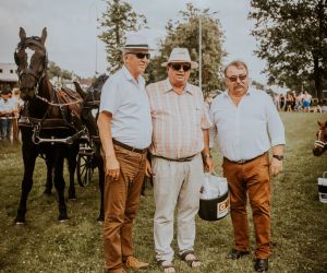 Konie znów w Odolanowie
