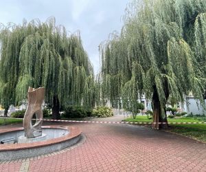 Ekspertyza Dendrologiczna