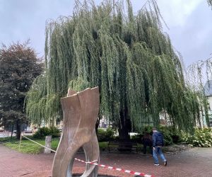 Ekspertyza Dendrologiczna
