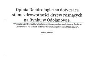 Ekspertyza Dendrologiczna