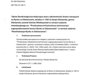 Ekspertyza Dendrologiczna