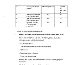 Ekspertyza Dendrologiczna