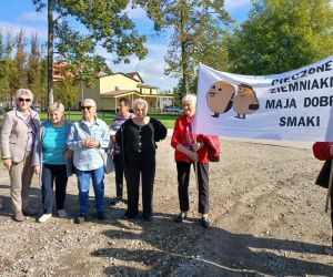 Święto pieczonego ziemniaka