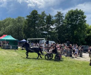 Za nami Piknik Koniarzy