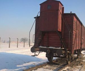 Odolanowska młodzież w Auschwitz