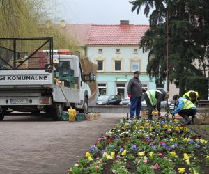 Sadzenie kwiatów na Rynku w Odolanowie