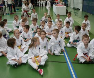 Mistrzostwa Wielkopolski Polskiej Federacji Taekwondo