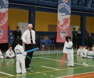 Mistrzostwa Wielkopolski Polskiej Federacji Taekwondo