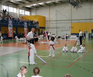 Mistrzostwa Wielkopolski Polskiej Federacji Taekwondo