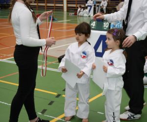 Mistrzostwa Wielkopolski Polskiej Federacji Taekwondo