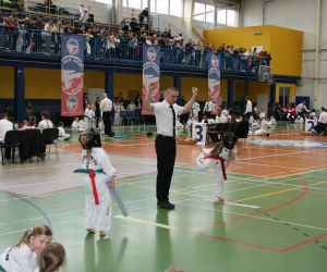 Mistrzostwa Wielkopolski Polskiej Federacji Taekwondo