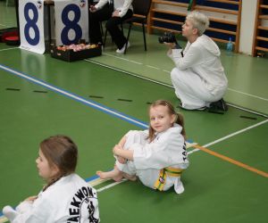 Mistrzostwa Wielkopolski Polskiej Federacji Taekwondo