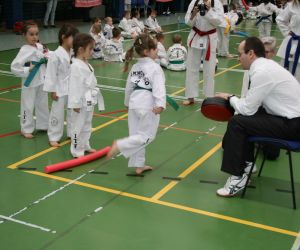 Mistrzostwa Wielkopolski Polskiej Federacji Taekwondo